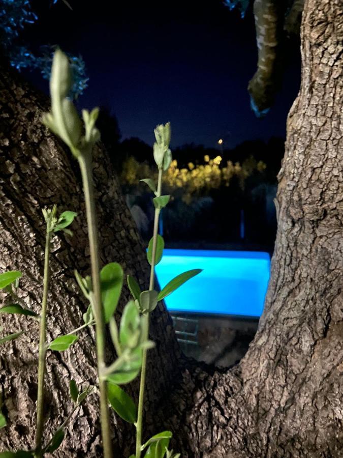 Monte Da Caldeirinha Villa Luz de Tavira Ngoại thất bức ảnh