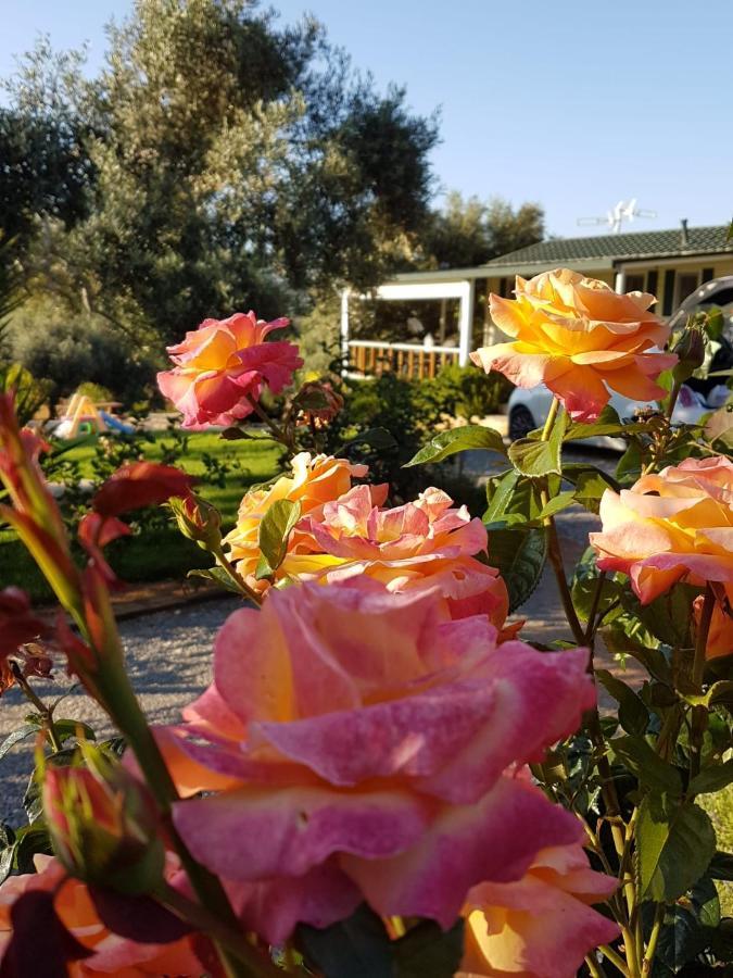 Monte Da Caldeirinha Villa Luz de Tavira Ngoại thất bức ảnh