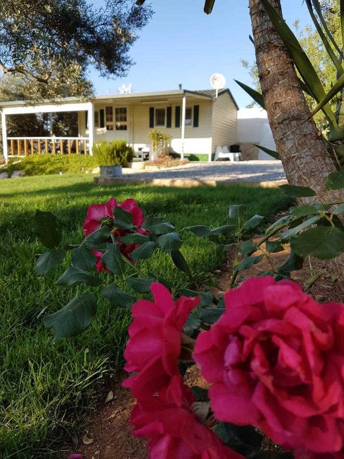 Monte Da Caldeirinha Villa Luz de Tavira Ngoại thất bức ảnh